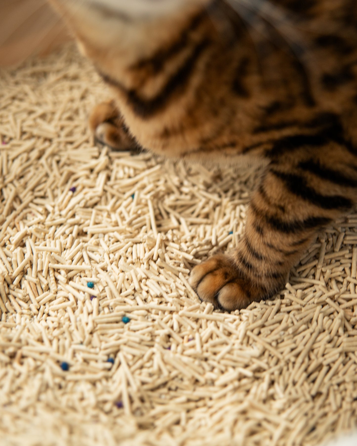 VELVET PAW TOFU Наповнювач для котячих туалетів з бентонітом, оригінальний, гранули 2 мм, 6 л/2,6 кг