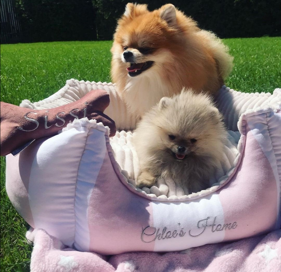 Chloe's Home Лежак для домашніх тварин Monte Carlo рожевий S