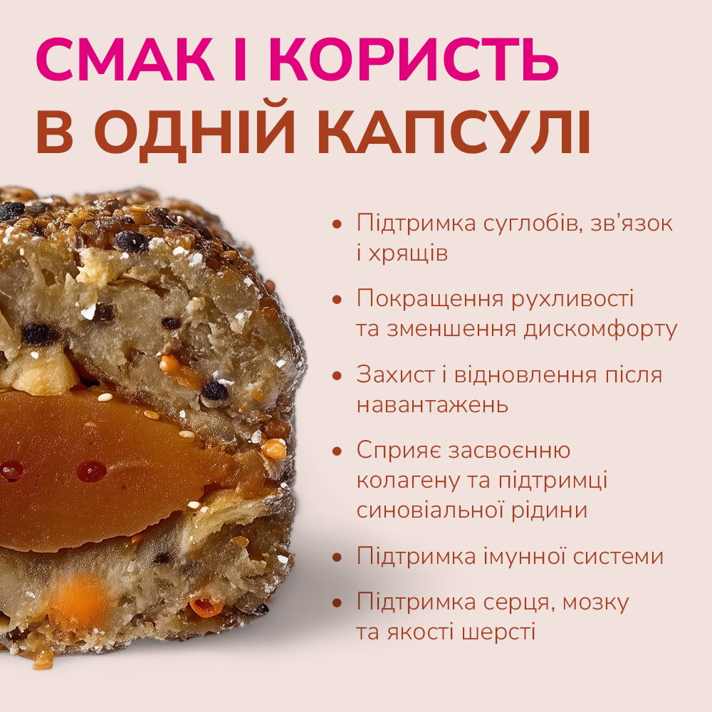 LK Baits Pet Nutrigel Salmon L-XL Функціональні ласощі для собак великих порід для суглобів з лососем та Omega-3 (Ø 18 м