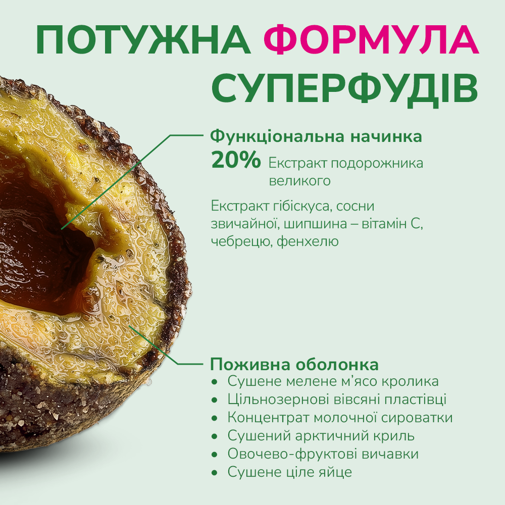 LK Baits Pet Nutrigo Plantago Mini Функціональні ласощі для собак дрібних порід з сиропом подорожника (Ø 15 мм), 75 г