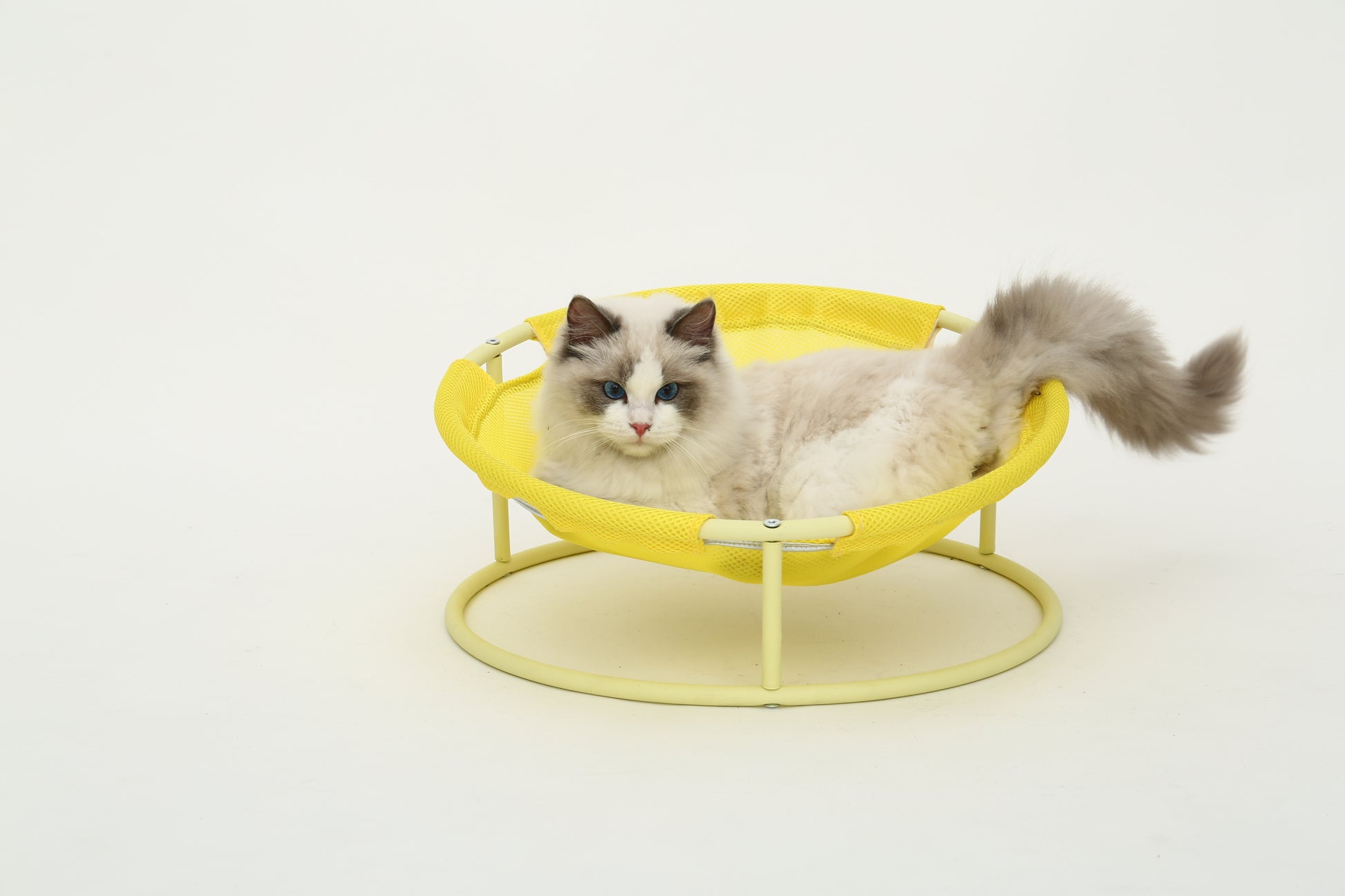 MISOKO Pet bed round Складаний лежак для домашніх тварин жовтий, 45x45x22 см