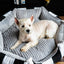 Chloe's Home Лежак для домашніх тварин Monte Carlo чорний S
