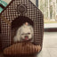 Chloe's Home Будинок Positano коричневий M
