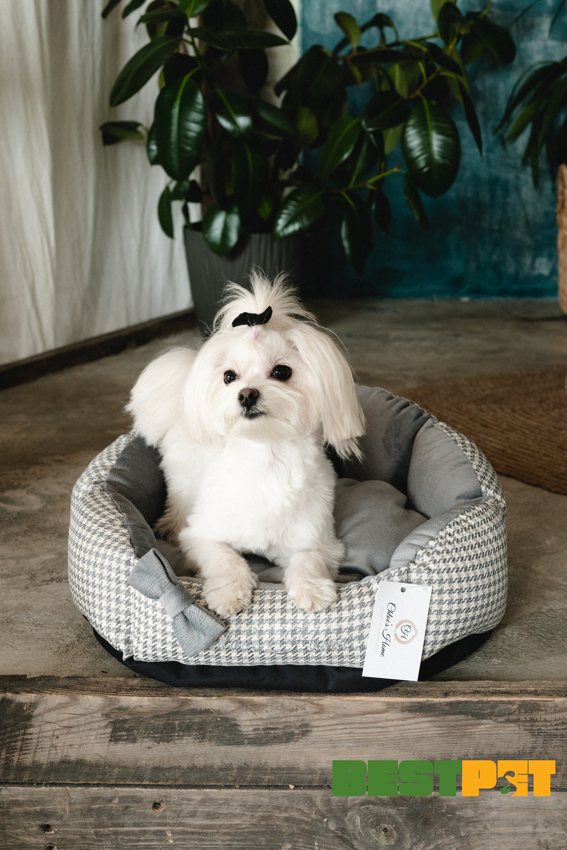 Chloe's Home Лежак для домашніх тварин Берлін сірий S