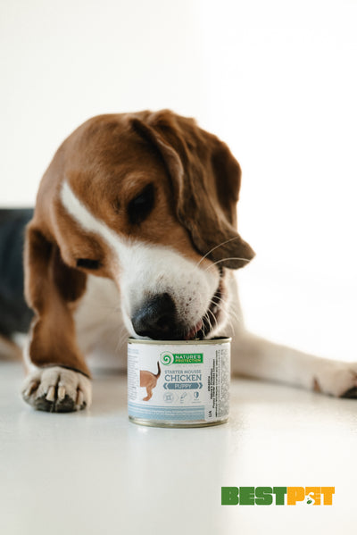 Nature's Protection Puppy Starter Mousse Chicken Мус-стартер для цуценят з курки, 200 г