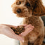 Nature's Protection Superior Care Red Coat Hypoallergenic & Intestinal Care Беззернові ласощі для дорослих собак з рудим