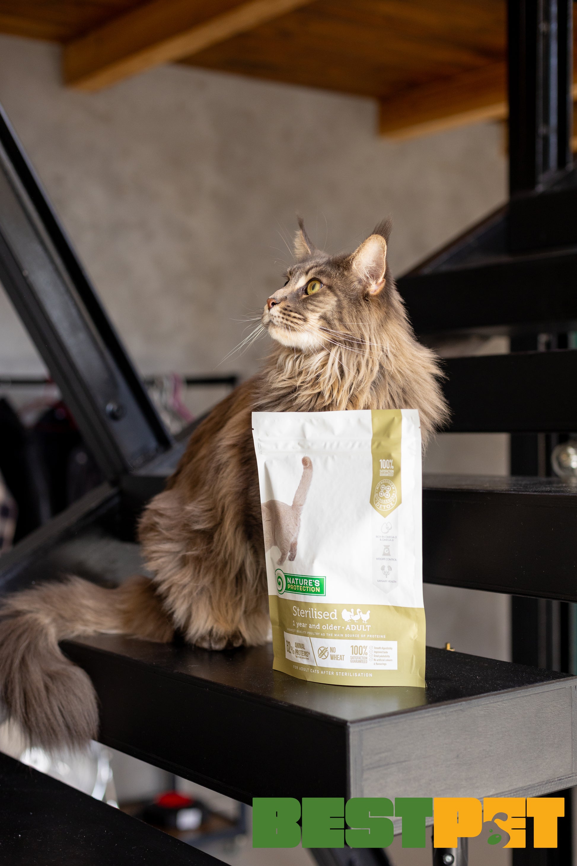 Nature's Protection Sterilised Сухий корм для стерилізованих котів, 400 г