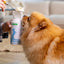 Nature's Protection Puppy-milk Замінник молока для цуценят, 200 г