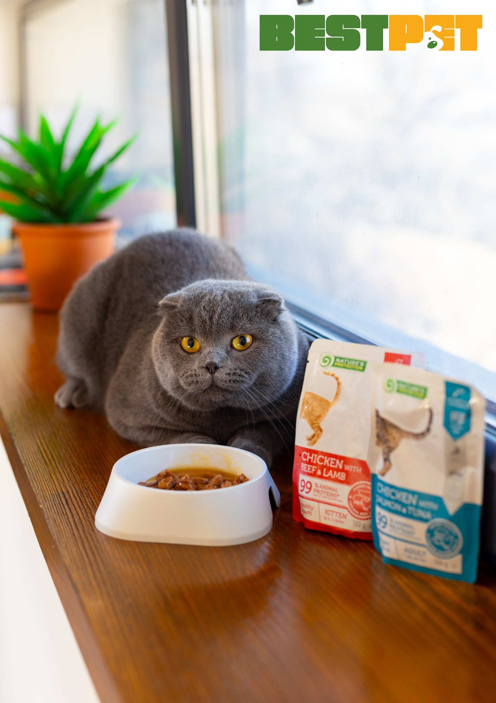 Nature’s Protection Kitten Healthy Growth Chicken Beef & Lamb Вологий корм для кошенят для здорового зростання з куркою,