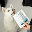 Nature's Protection Superior Care White Dogs Endurance Ласощі для дорослих собак із білим забарвленням з протеїном комах