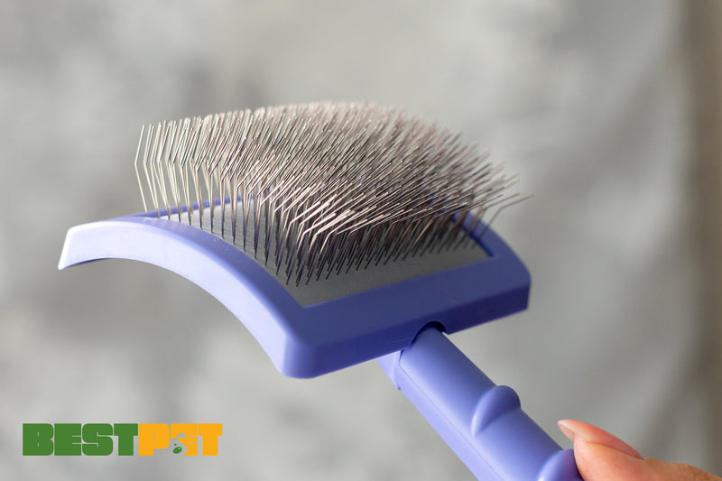 Tauro Pro Line Royal Щітка пластикова тонкі та м'які зубчики з нержавіючої сталі 25 мм, фіолетова, велика 17,5 x 10,6 x 