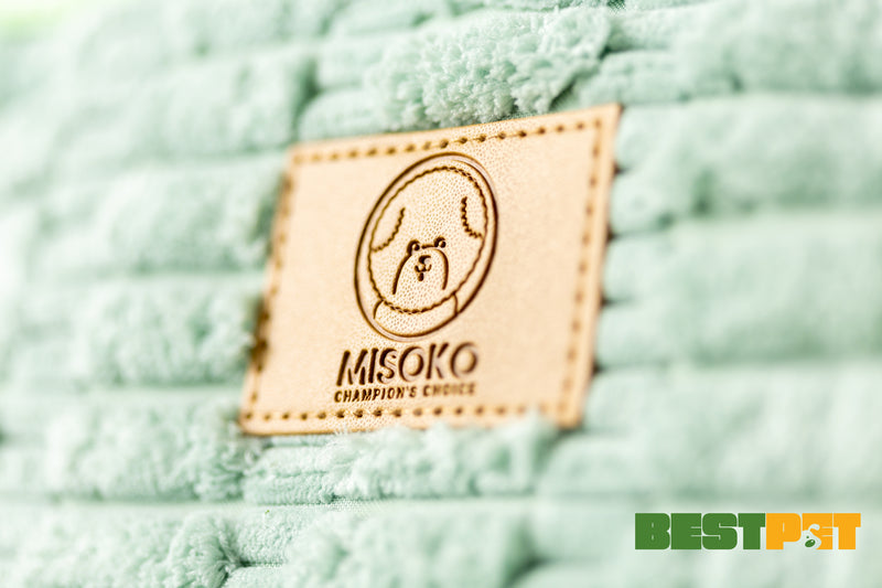 MISOKO Дорожня сумка для домашніх тварин, 51.5 x 25.5 x 27 см, зелена