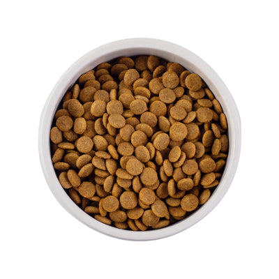 Nature's Protection Adult All Breeds Сухий корм для дорослих собак усіх порід з м'ясом птиці, 18 кг