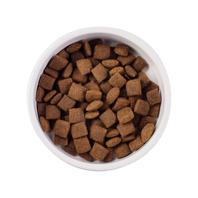 Nature's Protection Active Sport Adult All Breeds Сухий корм для дорослих спортивних, мисливських та службових собак, 18