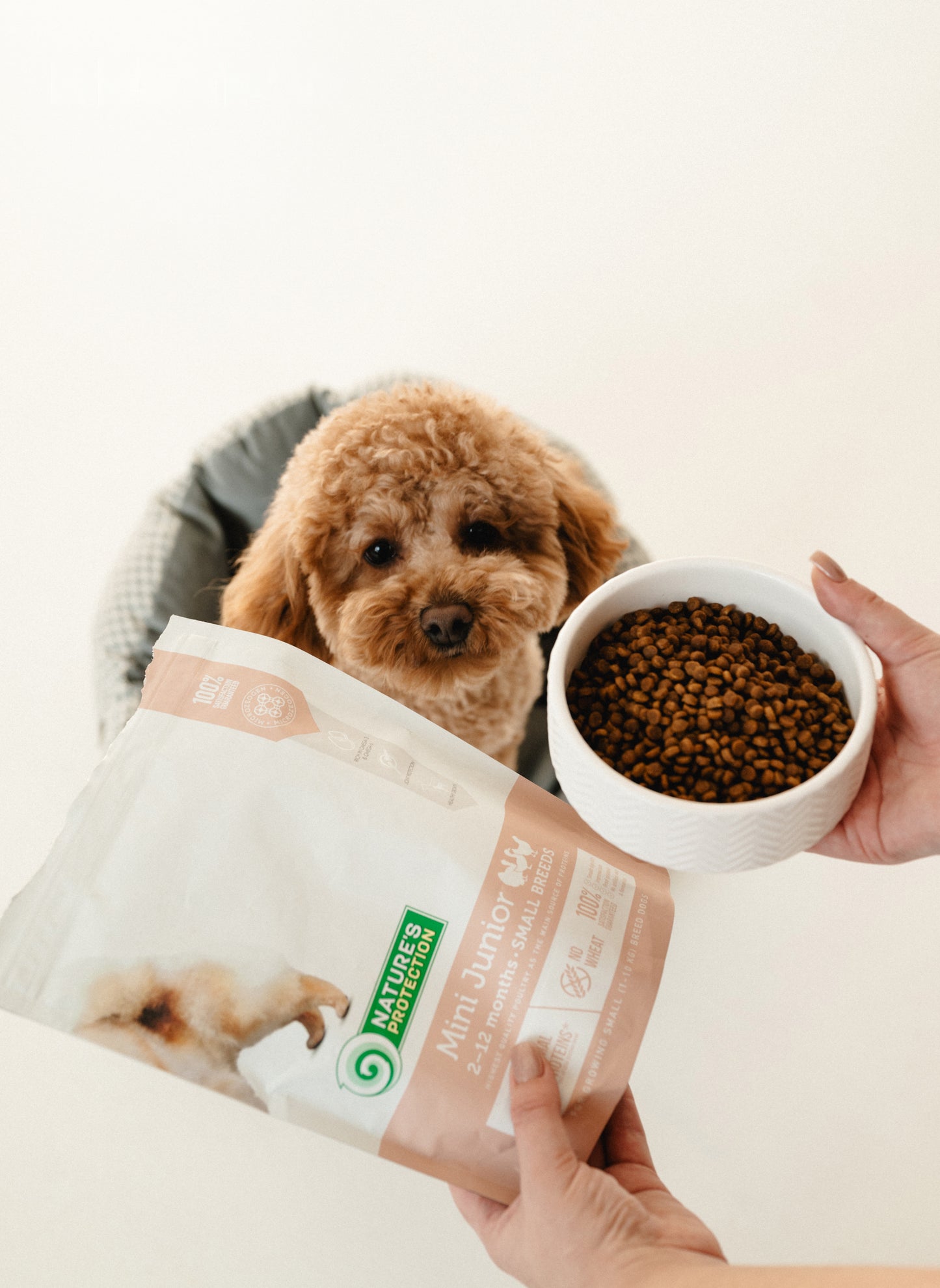 Nature's Protection Mini Junior Small Breeds Сухий корм для цуценят малих порід з м'ясом птиці, 500 г