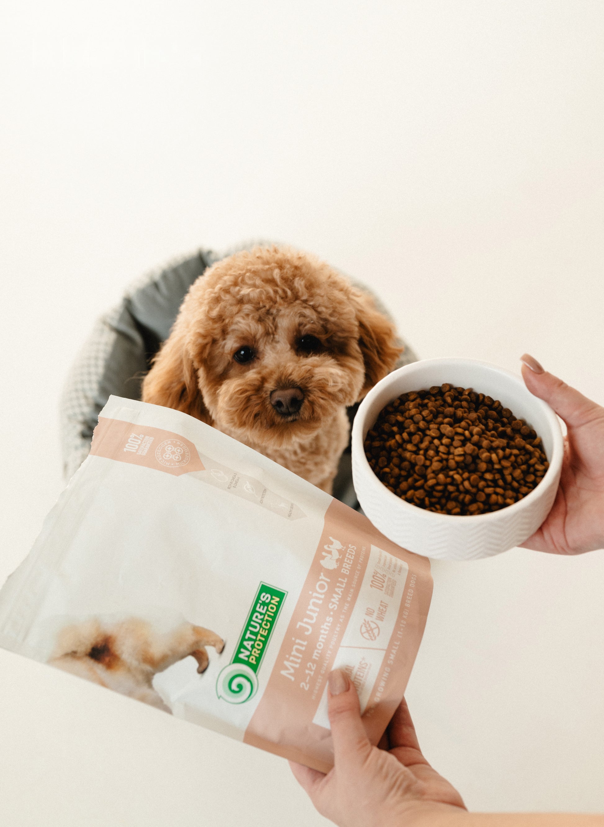 Nature's Protection Mini Junior Small Breeds Сухий корм для цуценят малих порід з м'ясом птиці, 500 г