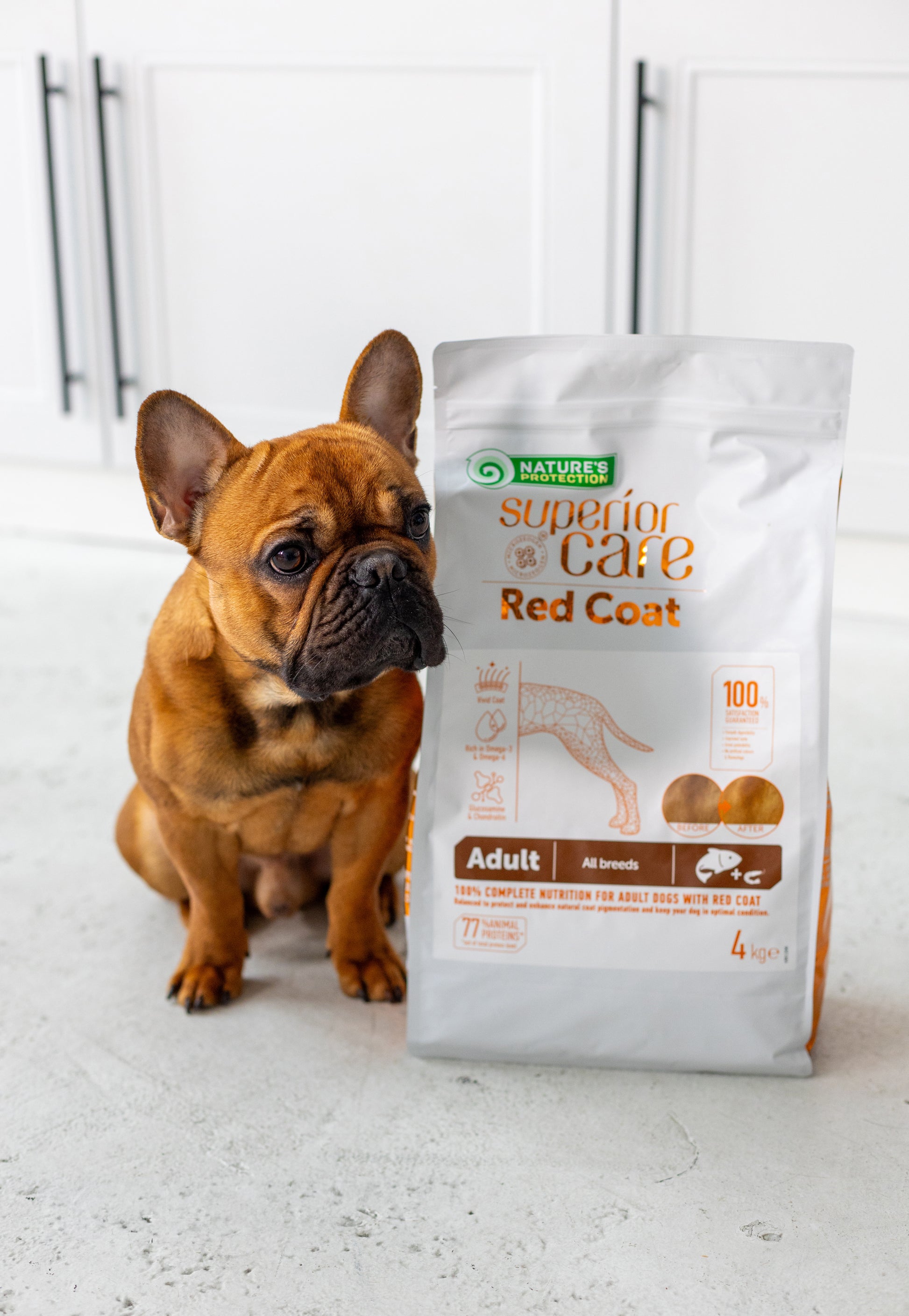Nature's Protection Superior Care Red Coat Grain Free Salmon Adult All Breeds Сухий беззерновий корм для дорослих собак 