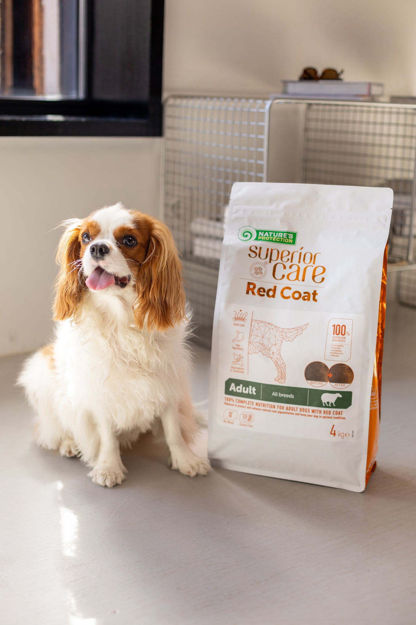 Nature's Protection Superior Care Red Coat Grain Free Lamb Adult All Breeds Сухий беззерновий корм для дорослих собак ус