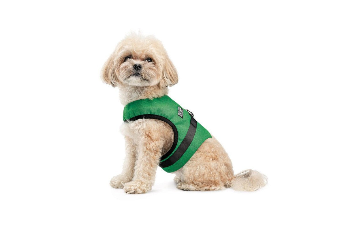 Шлея Ross ТМ Pet Fashion для собак S